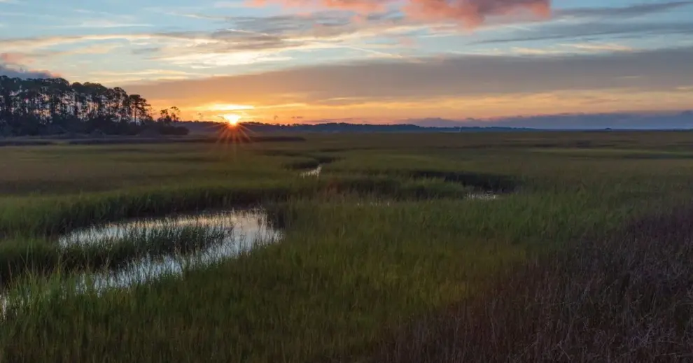 <strong>ENVIRONMENTAL ENGINEERING FIRM RE-INVENTS STEAM-ERA TECHNOLOGY TO RESTORE SALTMARSHES</strong>