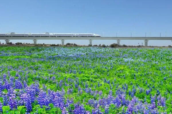 Texas Central names global railway company Renfe as its high-speed train operating partner