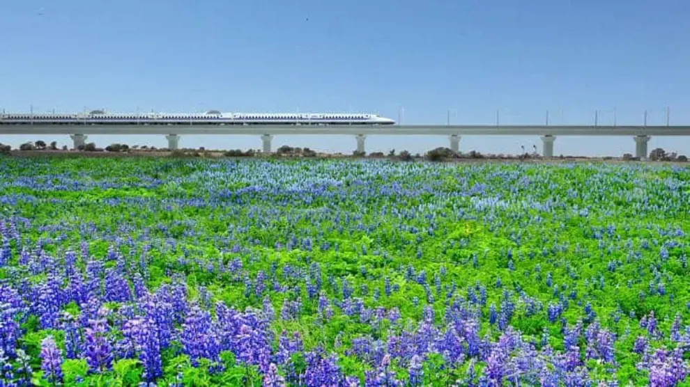 Texas Central names global railway company Renfe as its high-speed train operating partner